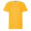 Футболка StanClass Жёлтый с логотипом в Москве заказать по выгодной цене в кибермаркете AvroraStore