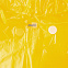 Дождевик BrightWay, желтый с логотипом в Москве заказать по выгодной цене в кибермаркете AvroraStore