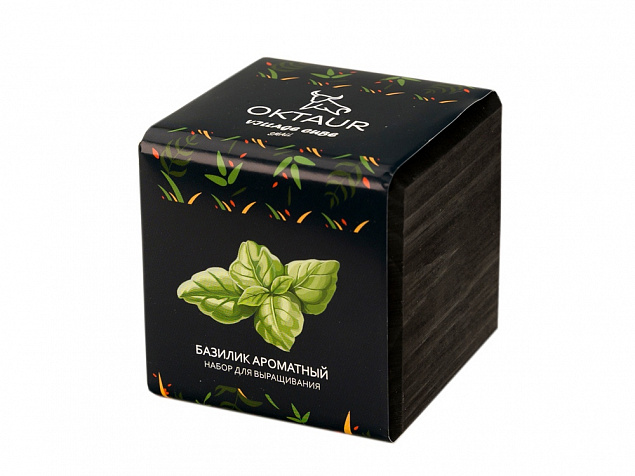 Набор для выращивания «Small village cube «Базилик ароматный» с логотипом в Москве заказать по выгодной цене в кибермаркете AvroraStore