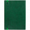 Ежедневник Vivian, недатированный, зеленый с логотипом в Москве заказать по выгодной цене в кибермаркете AvroraStore