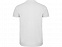 Рубашка поло Star мужская, белый с логотипом в Москве заказать по выгодной цене в кибермаркете AvroraStore