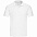 Рубашка поло мужская ORIGINAL POLO 185 с логотипом в Москве заказать по выгодной цене в кибермаркете AvroraStore