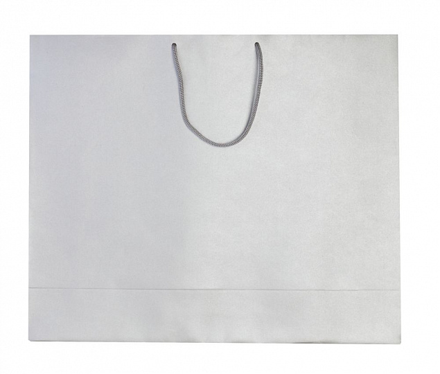 Пакет бумажный «Блеск», большой, серебристый с логотипом в Москве заказать по выгодной цене в кибермаркете AvroraStore