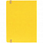 Ежедневник New Factor Metal, желтый с логотипом в Москве заказать по выгодной цене в кибермаркете AvroraStore