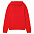 Худи унисекс Phoenix, красное с логотипом в Москве заказать по выгодной цене в кибермаркете AvroraStore