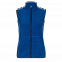 Жилет StanFleeceNewWomen Синий с логотипом в Москве заказать по выгодной цене в кибермаркете AvroraStore