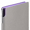 Ежедневник Flexpen, недатированный, серебристо-фиолетовый с логотипом в Москве заказать по выгодной цене в кибермаркете AvroraStore