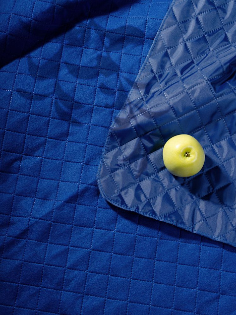 Плед для пикника Soft &amp; Dry, ярко-синий с логотипом в Москве заказать по выгодной цене в кибермаркете AvroraStore