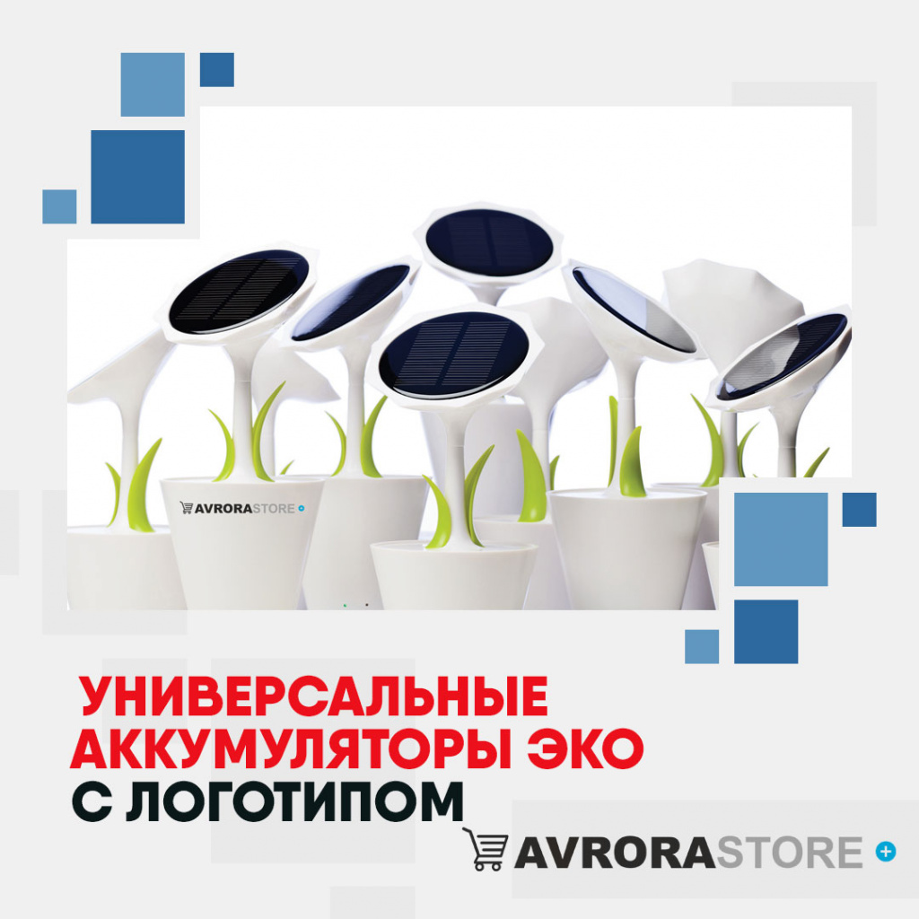 Аккумуляторы ЭКО с логотипом в Москве купить на заказ в кибермаркете AvroraSTORE