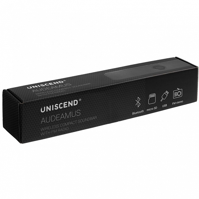 Беспроводная стереоколонка с FM-радио Uniscend Audeamus, черная с логотипом в Москве заказать по выгодной цене в кибермаркете AvroraStore