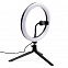 Светильник-лампа,белый,черный с логотипом  заказать по выгодной цене в кибермаркете AvroraStore