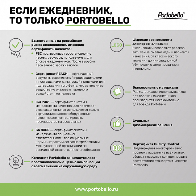 Ежедневник Portobello Trend, Alpha, недатированный, серебро/серый с логотипом в Москве заказать по выгодной цене в кибермаркете AvroraStore