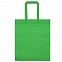 Сумка для покупок Span 70, зеленая с логотипом в Москве заказать по выгодной цене в кибермаркете AvroraStore