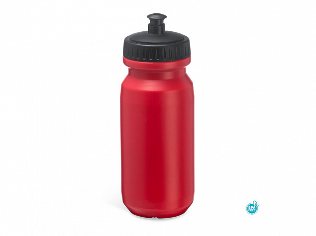 Бутылка спортивная BIKING с логотипом в Москве заказать по выгодной цене в кибермаркете AvroraStore