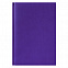 Ежедневник недатированный City Canyon 145х205 мм, без календаря, фиолетовый с логотипом в Москве заказать по выгодной цене в кибермаркете AvroraStore