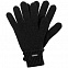 Перчатки Alpine, черные с логотипом в Москве заказать по выгодной цене в кибермаркете AvroraStore