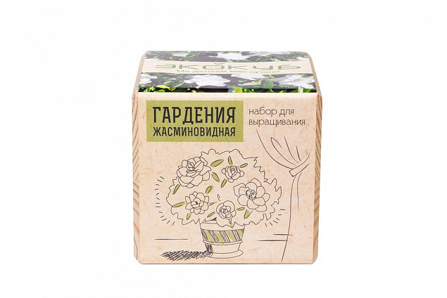 Набор для выращивания «Экокуб», гардения жасминовидная с логотипом в Москве заказать по выгодной цене в кибермаркете AvroraStore