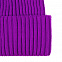 Шапка Yong, фиолетовая с логотипом в Москве заказать по выгодной цене в кибермаркете AvroraStore