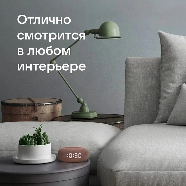 Умная колонка «Капсула Мини» с помощником «Маруся», терракотовая с логотипом в Москве заказать по выгодной цене в кибермаркете AvroraStore