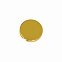 Шильд бегунок на резинку круг D18*3 мм мет. золотое покрытие с логотипом в Москве заказать по выгодной цене в кибермаркете AvroraStore