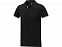 Morgan Двухцветное мужское поло с коротким рукавом , черный с логотипом в Москве заказать по выгодной цене в кибермаркете AvroraStore