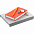 Набор Idea Memory, красный с логотипом в Москве заказать по выгодной цене в кибермаркете AvroraStore