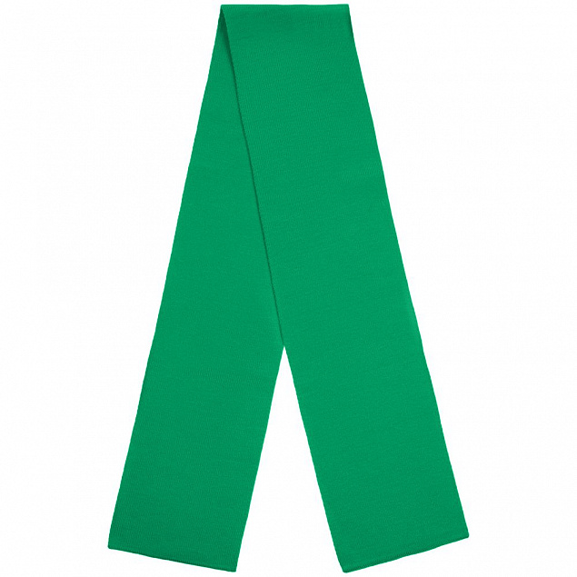 Шарф Urban Flow, зеленый с логотипом в Москве заказать по выгодной цене в кибермаркете AvroraStore