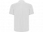 Рубашка поло Centauro Premium мужская, белый с логотипом в Москве заказать по выгодной цене в кибермаркете AvroraStore