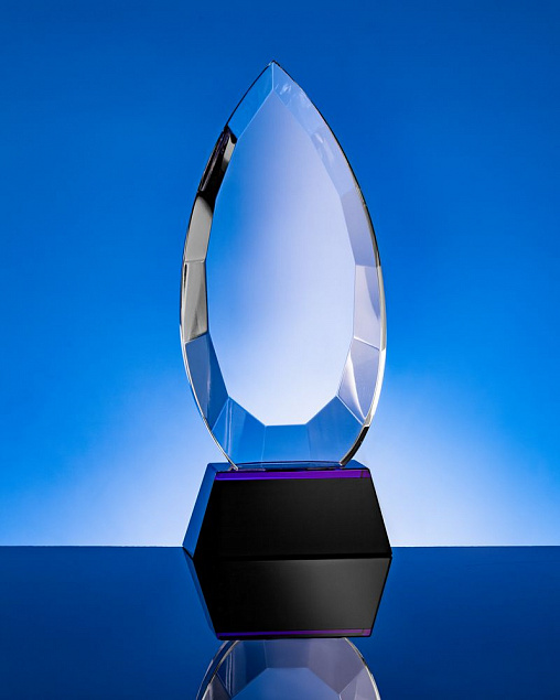 Награда Droplet с логотипом в Москве заказать по выгодной цене в кибермаркете AvroraStore