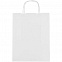 Пакет бумажный Willy, малый, белый с логотипом в Москве заказать по выгодной цене в кибермаркете AvroraStore
