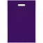 Набор Welcome Pack, фиолетовый с логотипом в Москве заказать по выгодной цене в кибермаркете AvroraStore