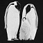 Свитшот детский Like a Penguin, черный с логотипом в Москве заказать по выгодной цене в кибермаркете AvroraStore