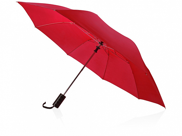 Зонт складной Андрия с логотипом в Москве заказать по выгодной цене в кибермаркете AvroraStore