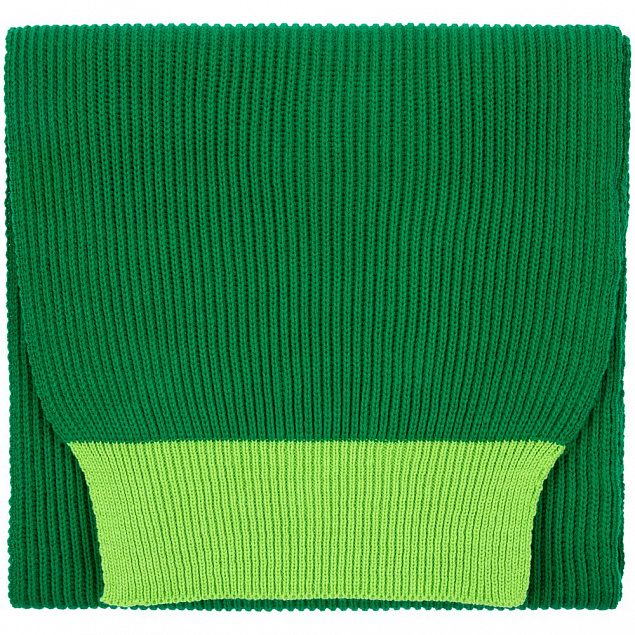 Шарф Snappy, зеленый с салатовым с логотипом в Москве заказать по выгодной цене в кибермаркете AvroraStore