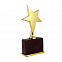 Статуэтка "Звезда", золото с логотипом в Москве заказать по выгодной цене в кибермаркете AvroraStore