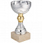 Кубок Grail, серебристый с логотипом в Москве заказать по выгодной цене в кибермаркете AvroraStore