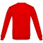 Толстовка «Цитаты. Довлатов. Вранье», красная с логотипом  заказать по выгодной цене в кибермаркете AvroraStore