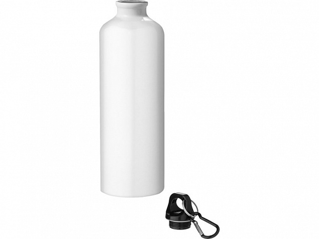 Бутылка для воды с карабином «Oregon», 770 мл с логотипом в Москве заказать по выгодной цене в кибермаркете AvroraStore