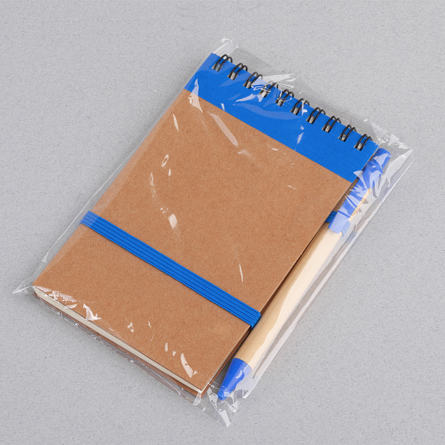 Блокнот с ручкой "Papyrus", синий с логотипом в Москве заказать по выгодной цене в кибермаркете AvroraStore