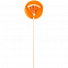 Набор Frolic, оранжевый с логотипом в Москве заказать по выгодной цене в кибермаркете AvroraStore