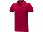 Morgan Двухцветное мужское поло с коротким рукавом , красный с логотипом в Москве заказать по выгодной цене в кибермаркете AvroraStore