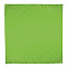 Платок-бандана BANDANA - Светло-зеленый YY с логотипом в Москве заказать по выгодной цене в кибермаркете AvroraStore