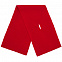 Шарф Yong, красный с логотипом в Москве заказать по выгодной цене в кибермаркете AvroraStore