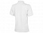 Рубашка поло Forehand женская, белый с логотипом в Москве заказать по выгодной цене в кибермаркете AvroraStore