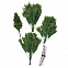 Искусственная ель Ms.Tree, 210 см с логотипом в Москве заказать по выгодной цене в кибермаркете AvroraStore