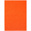 Ежедневник Flat Light, недатированный, оранжевый с логотипом  заказать по выгодной цене в кибермаркете AvroraStore