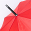 Зонтик Dolku XL с логотипом в Москве заказать по выгодной цене в кибермаркете AvroraStore