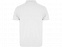 Рубашка поло Austral мужская, белый с логотипом в Москве заказать по выгодной цене в кибермаркете AvroraStore
