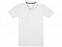 Рубашка поло "Primus" мужская с логотипом в Москве заказать по выгодной цене в кибермаркете AvroraStore