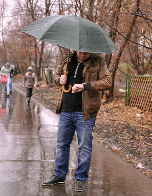 Зонт-трость с деревянной ручкой "Денди" с логотипом в Москве заказать по выгодной цене в кибермаркете AvroraStore
